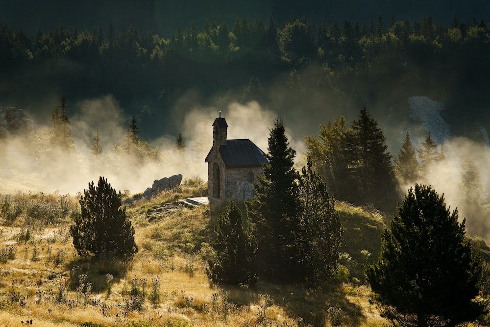 Slide Image